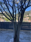 Villa à la vente